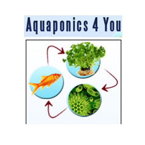 aquaponics 4 you