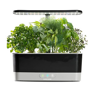 Kitchen hydroponic kit - Grow Fresh Herbs & Veg - The Chef's Gardener